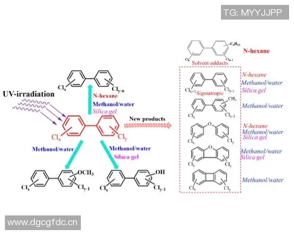 广州滑板队心理素质分析与表现研究探讨 广州滑板队心理素质分析与表现研究探讨
