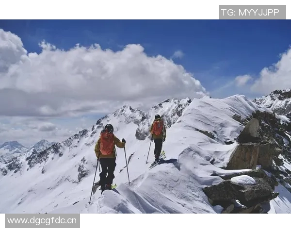 成都极限运动队状态分析与表现评估的全面研究与探讨 成都极限运动队状态分析与表现评估的全面研究与探讨