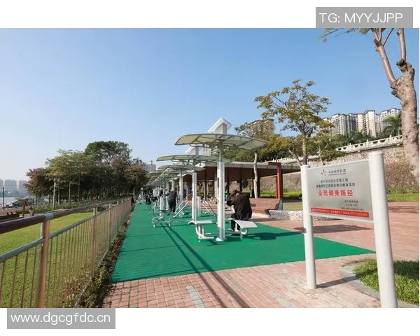 以体育场为核心打造城市活力空间推动全民健身与文化交流融合发展